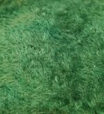 بقه اسکی سبز