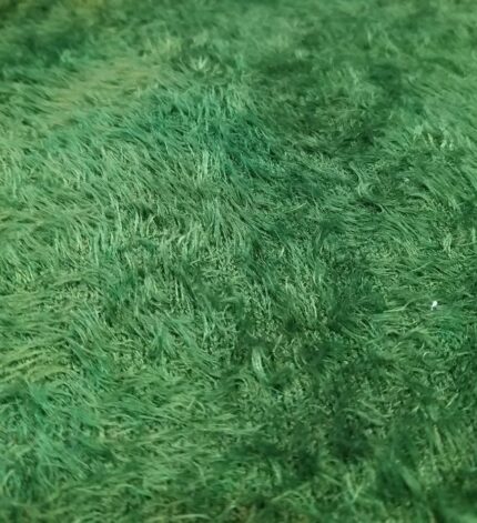 بقه اسکی سبز